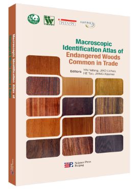 “木材科学与技术”主题书单(图3)