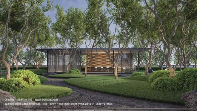 揭秘最让人“惊奇”的日光(图12)