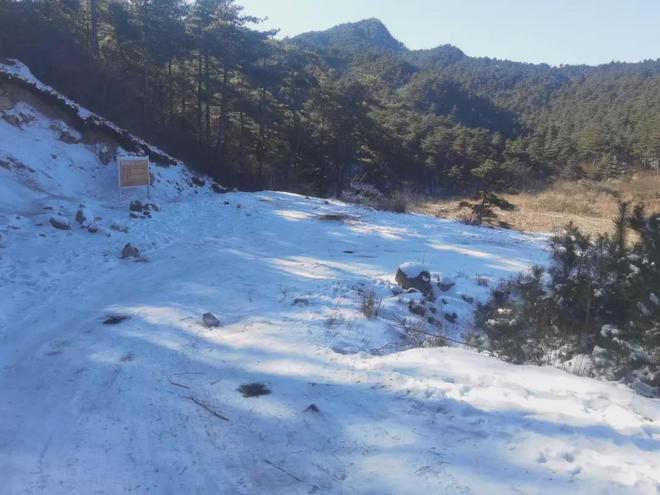冷空气南下隔壁下了新年第一场雪上海多区发布寒潮蓝色预警阴湿天气将暂别申城(图5)
