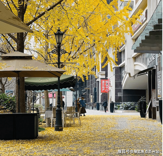 金色贝拉维(售楼处)金色贝拉维电线楼盘评测_价格配套户型停车位(图8)