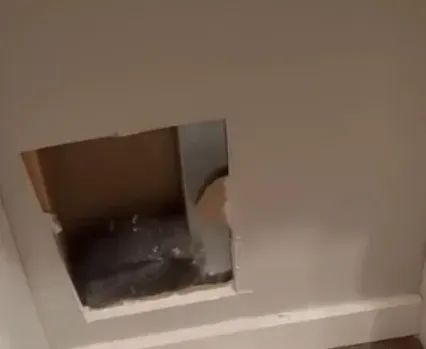 凌晨墙内传出吓人的怪响网友冒险破墙后竟是只猫！