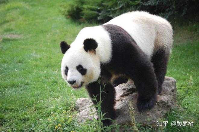 Φ外滩天幕1715外滩天幕1715售楼处发布：奢华生活新定义！(图9)