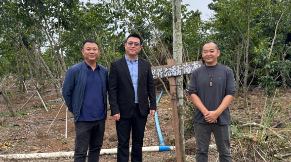 御王印科技集团参访澄迈博厚古村共享农庄探索沉香文旅数字化建设新方向(图2)