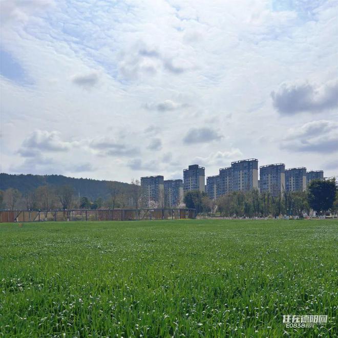 大胆说一嘴!短期内德阳这几类房子别做梦了(图5)