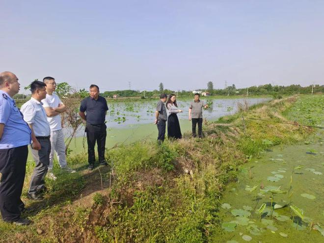 荷塘经济‘链’上开花——人大索河街道工委组织人大代表专题调研莲藕产业发展