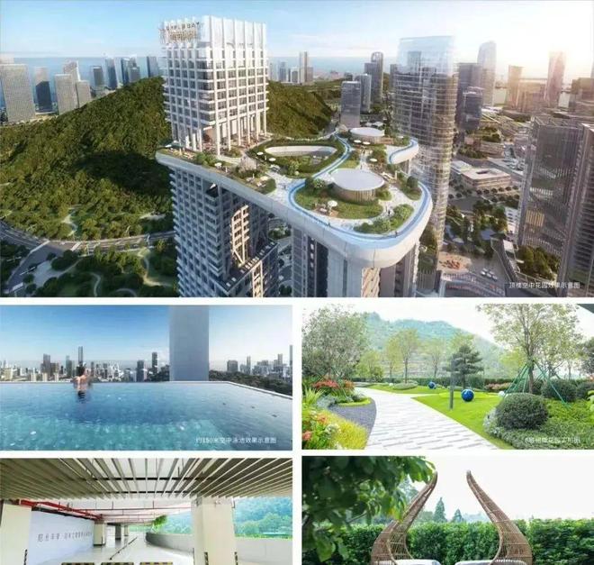 发布前海宸湾@蛇口少见三轨交汇通勤新加坡式垂直花园住宅(图12)