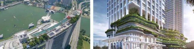 发布前海宸湾@蛇口少见三轨交汇通勤新加坡式垂直花园住宅(图11)