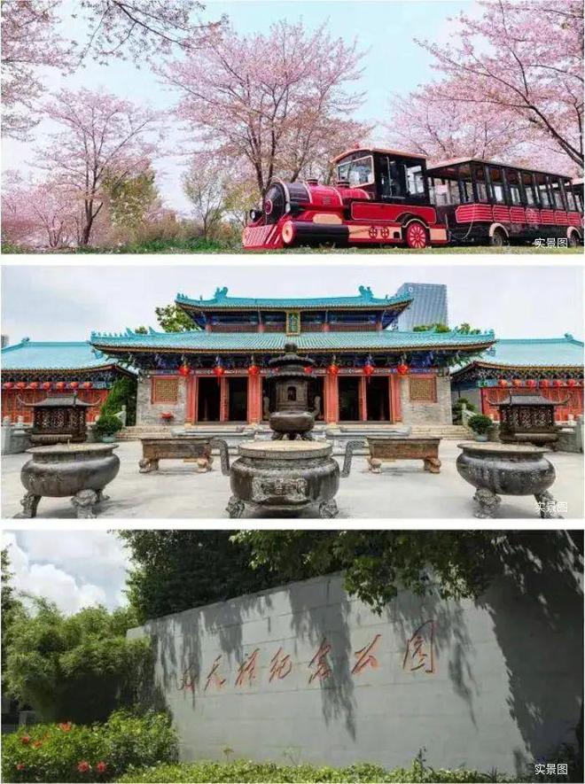 发布前海宸湾@蛇口少见三轨交汇通勤新加坡式垂直花园住宅(图10)