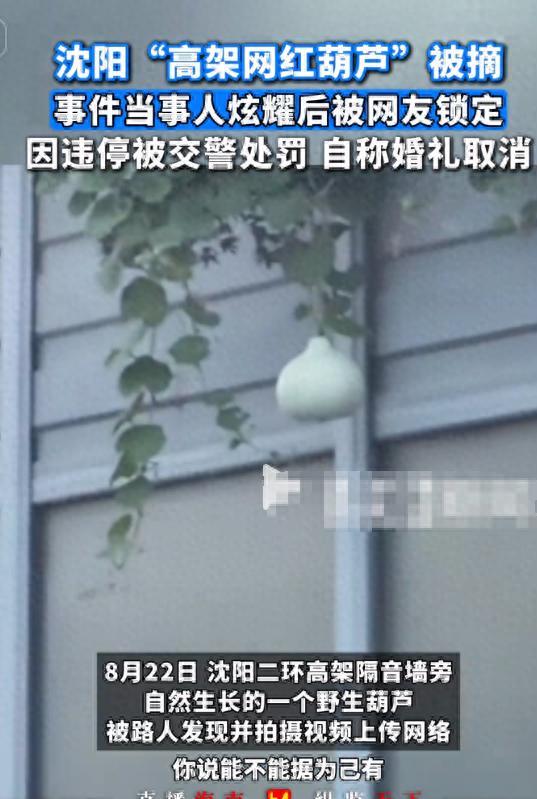 摘葫芦男“社会性死亡”：处罚曝光婚礼取消脸面和幸福都没了