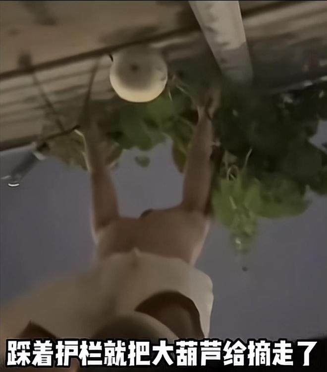 摘葫芦男“社会性死亡”:处罚曝光婚礼取消脸面和幸福都没了(图5)