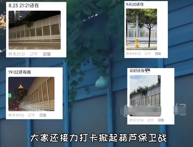 摘葫芦男“社会性死亡”:处罚曝光婚礼取消脸面和幸福都没了(图4)