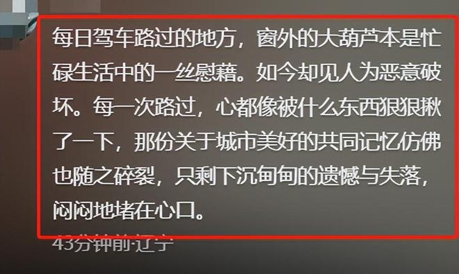 摘葫芦男“社会性死亡”:处罚曝光婚礼取消脸面和幸福都没了(图9)