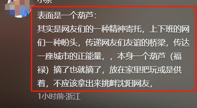 摘葫芦男“社会性死亡”:处罚曝光婚礼取消脸面和幸福都没了(图18)