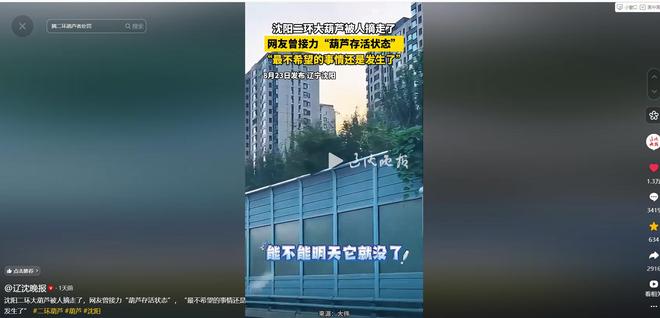 摘葫芦男“社会性死亡”:处罚曝光婚礼取消脸面和幸福都没了(图26)