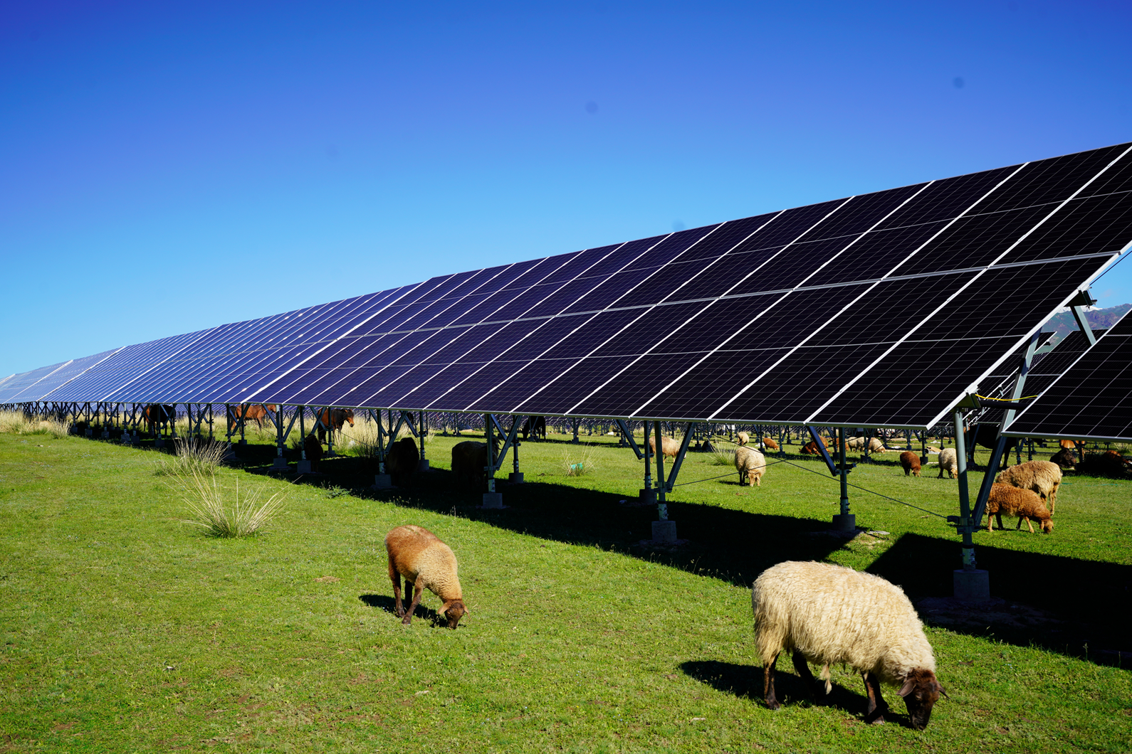 聚焦主责主业绘就绿水青山新画卷(图4)