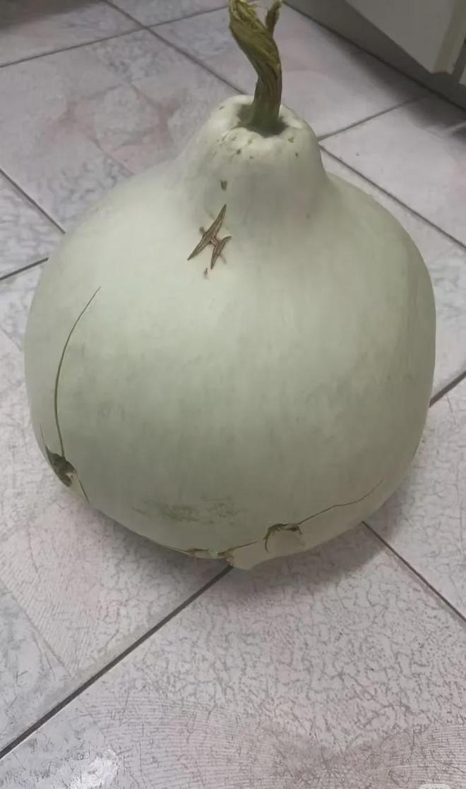 沈阳二环葫芦又回来了!偷摘者亏大了:罚款扣分连婚礼都黄了(图6)