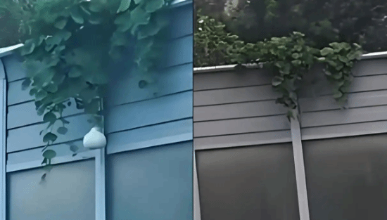 沈阳二环高架葫芦丢失事件当事人道歉:被记9分(图3)