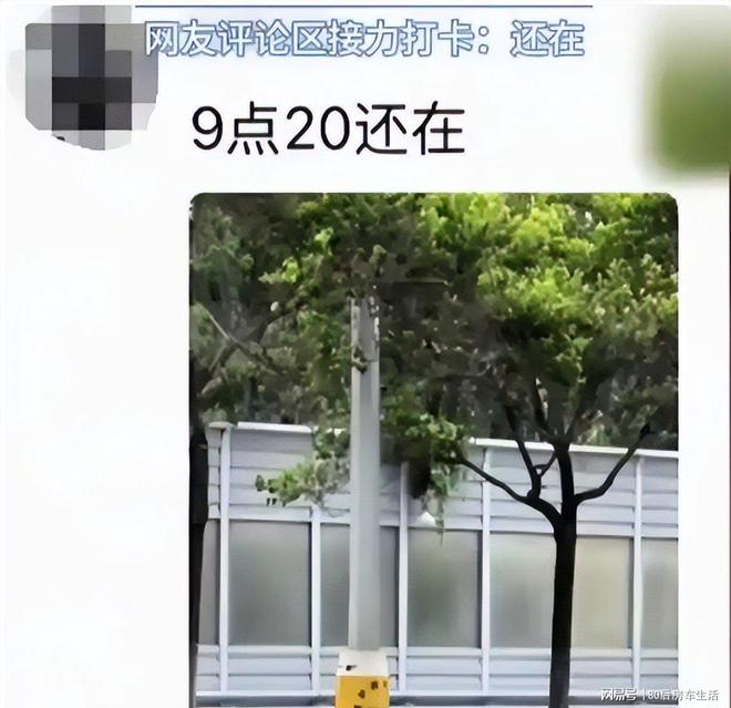 惨！沈阳“摘葫芦”男公开道歉原定婚礼取消因违停被扣分罚款(图4)
