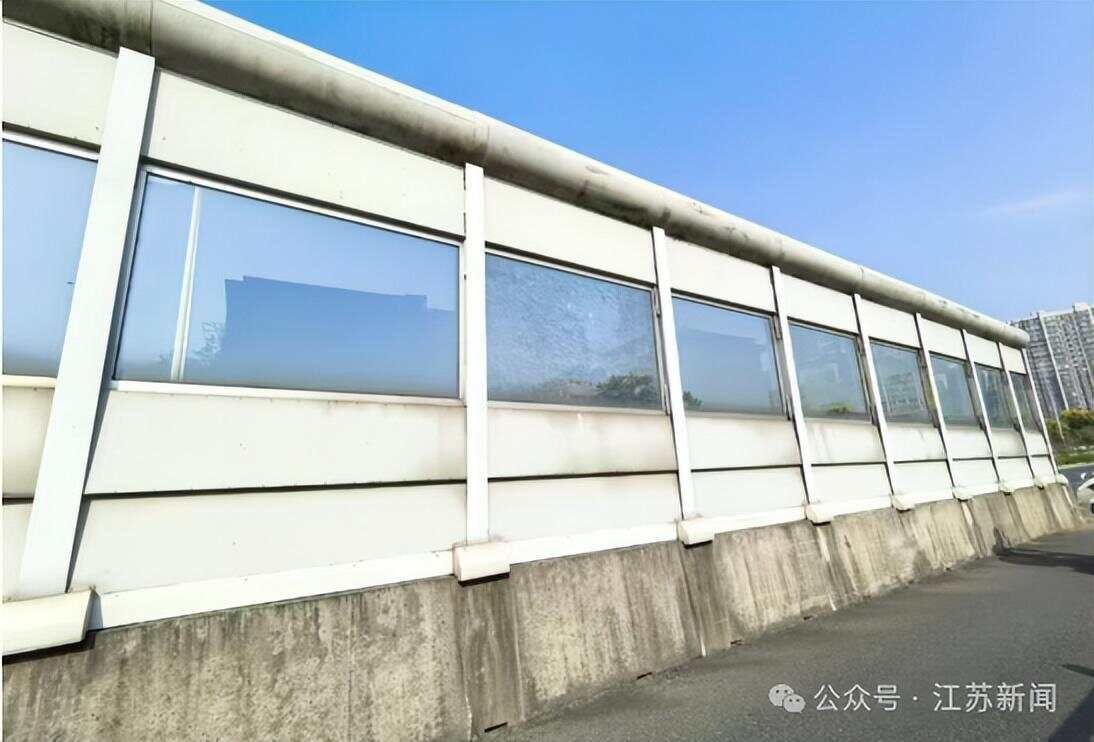 南京一大桥玻璃墙频现撞鸟事件市民希望能贴上鸟类防撞贴纸