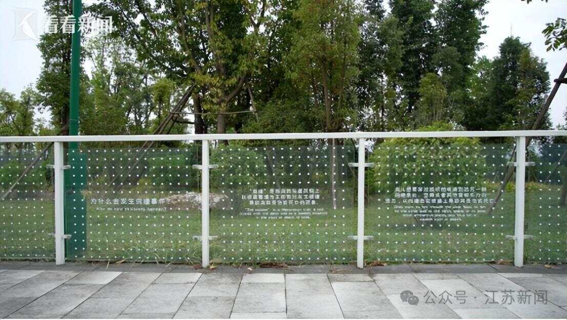 南京一大桥玻璃墙频现撞鸟事件市民希望能贴上鸟类防撞贴纸(图7)