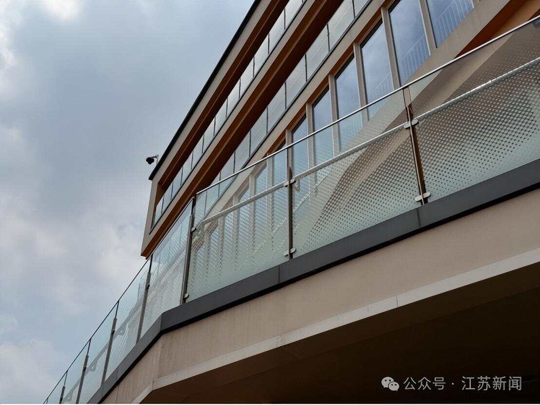 南京一大桥玻璃墙频现撞鸟事件市民希望能贴上鸟类防撞贴纸(图5)