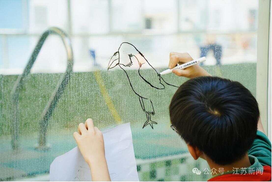 南京一大桥玻璃墙频现撞鸟事件市民希望能贴上鸟类防撞贴纸(图6)