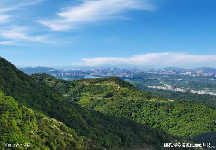 深铁珑境2期(售楼处)首页网站-深铁珑境2期(营销中心)-欢迎您-最新价格-户型图-地址-容积率-楼盘详情-周边配套(图8)