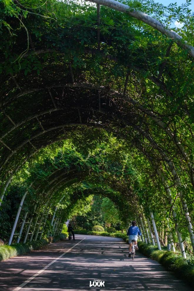 西郊云庐售楼处网站-长宁西郊云庐楼盘评测-上海房天下(图19)