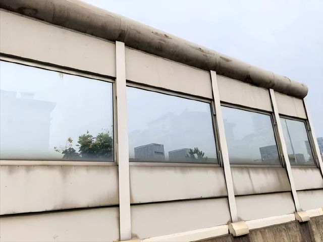 原因查明！小鸟频频撞死在南京一大桥玻璃墙背后原是人类惹的祸(图3)