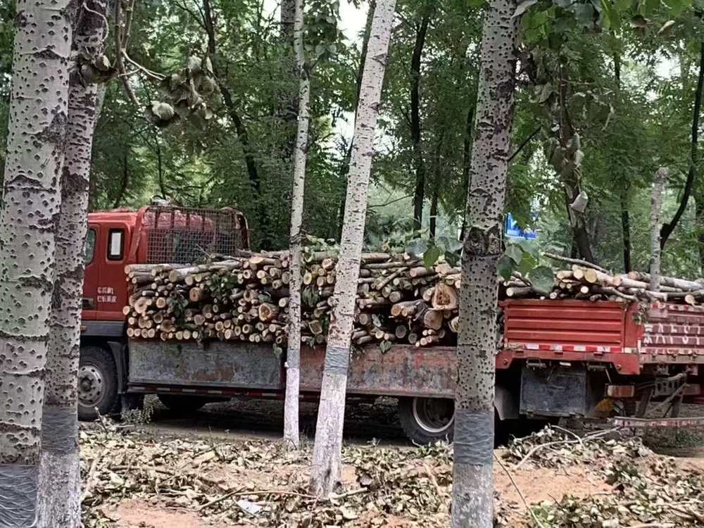京藏高速20年前没做隔音如今车流昼夜不停吵到周边居民咋办？(图3)