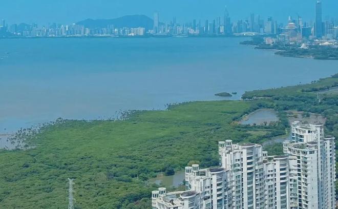 ⚡深圳热搜豪宅！金地环湾城售楼处发布：金地书写未来新篇章(图13)