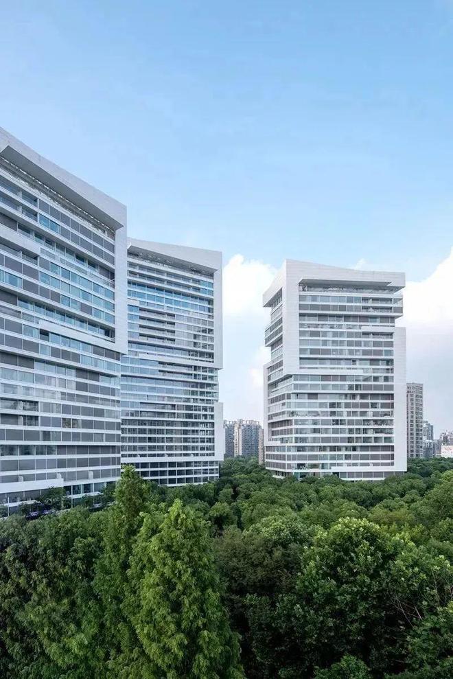 聚焦中鹰黑森林售楼处发布:中鹰黑森林以品质铸就传奇!(图8)