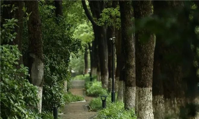 聚焦中鹰黑森林售楼处发布:中鹰黑森林以品质铸就传奇!(图5)