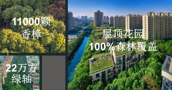 聚焦中鹰黑森林售楼处发布:中鹰黑森林以品质铸就传奇!(图4)