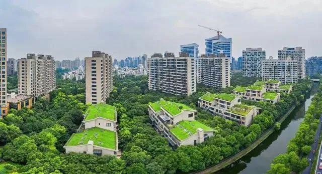 聚焦中鹰黑森林售楼处发布:中鹰黑森林以品质铸就传奇!(图12)