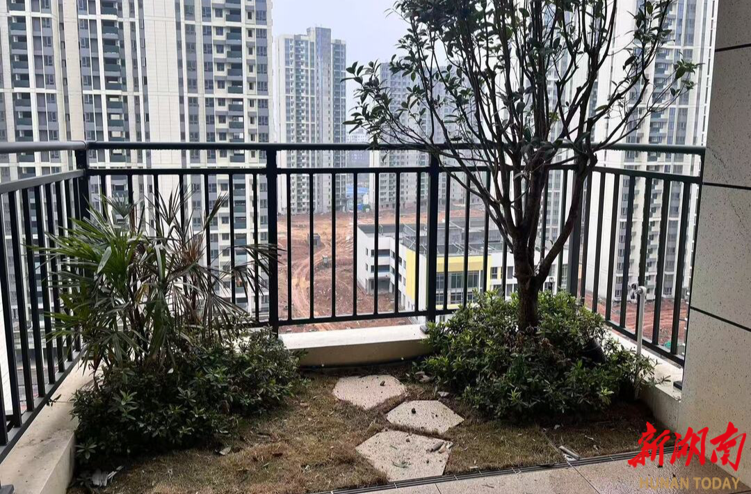 第四代住宅会是未来好房子吗(图3)