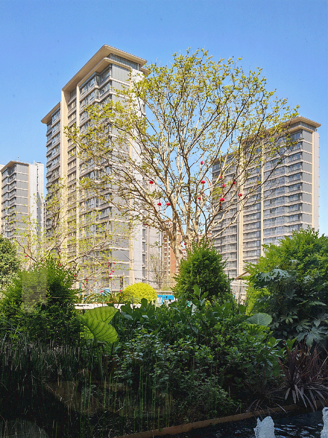 【新盘】中环桃源里售楼处普陀中环桃源里发布：限量竞藏(图13)