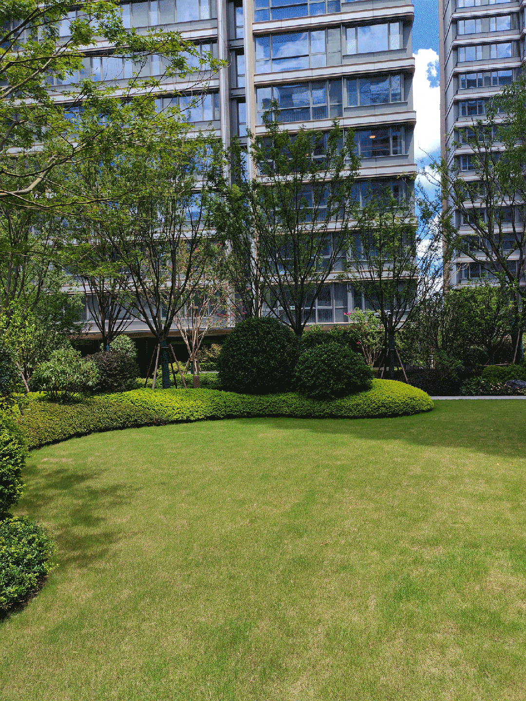 【新盘】中环桃源里售楼处普陀中环桃源里发布：限量竞藏(图14)