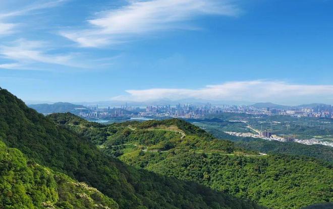 深铁珑境售楼处@售楼处发布：繁华触手可及(图6)