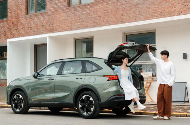 巩固国民SUV基因的进阶之作哈弗H6L正式上市(图6)