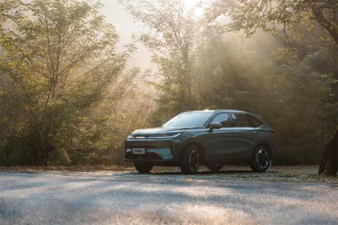 巩固国民SUV基因的进阶之作哈弗H6L正式上市(图2)