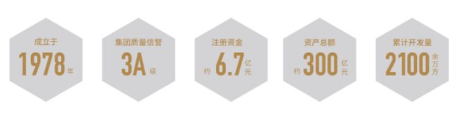 ®中环桃源里售楼处中环桃源里发布：引领住房新风尚(图6)