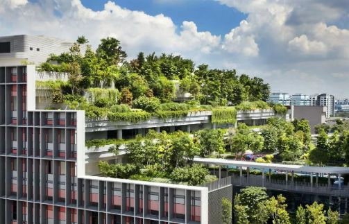 好房热搜年度NO1®华新方圆·333售楼处发布：享受品质生活！(图6)