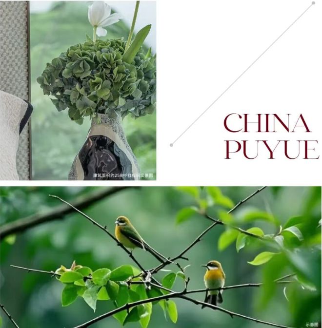 隆重开幕®越秀金茂璞樾售楼处发布:璞樾以品质铸就传奇!(图6)