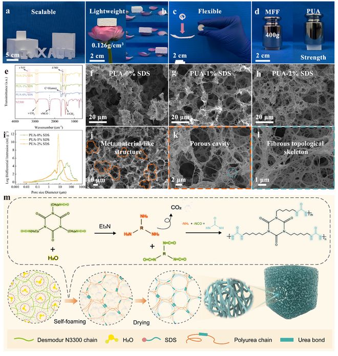 西安理工大学汤玉斐课题组《CEJ》：破解轻质材料低频隔声难题！(图2)