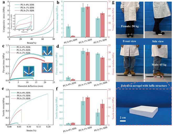西安理工大学汤玉斐课题组《CEJ》：破解轻质材料低频隔声难题！(图6)