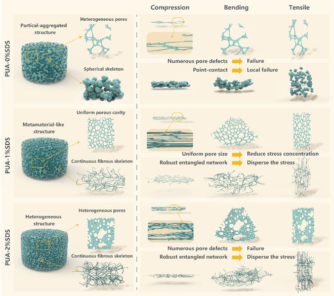西安理工大学汤玉斐课题组《CEJ》：破解轻质材料低频隔声难题！(图7)