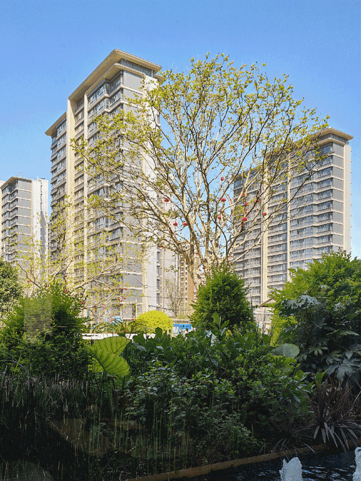 2026年中环桃源里(售楼处)首页-中环桃源里销售中心-环境-户型-价格-地址-楼盘详情-配套-电话-交房时间-配套-电话-交房时间(图9)