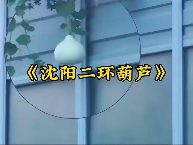 沈阳人把葫芦当宝贝他却拿绳子摘走发结果社会性死亡