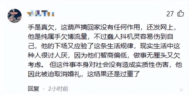 沈阳人把葫芦当宝贝他却拿绳子摘走发结果社会性死亡(图7)